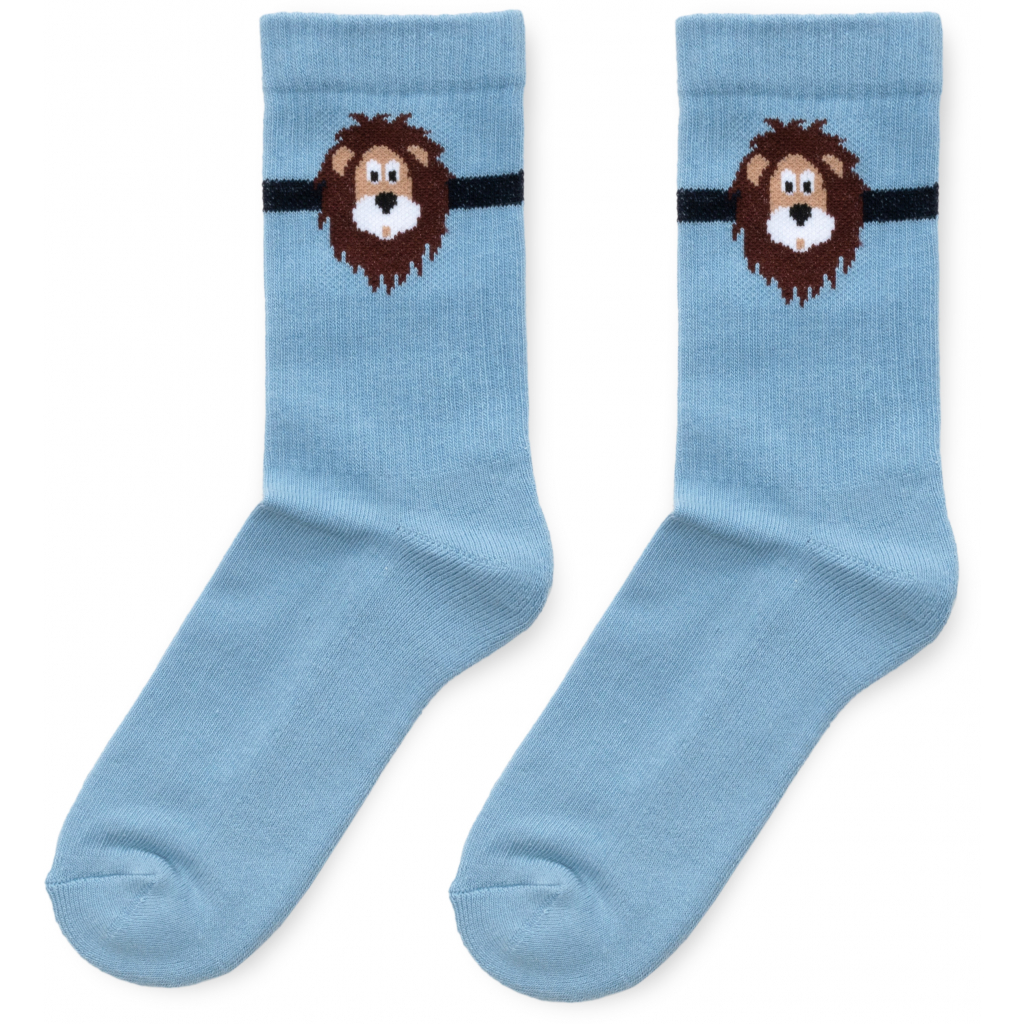 Носки детские Bross с махровой ступней со львом (23469-6B-blue)