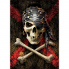 Пазл Educa Пиратский череп 500 элементов (6336908) изображение 2