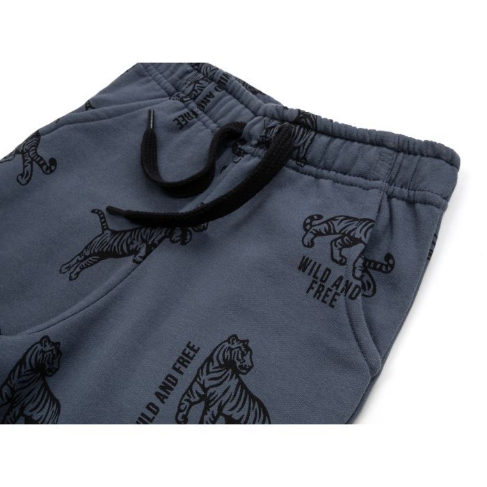 Штаны детские Breeze спортивные на флисе (16694-92B-gray) изображение 3