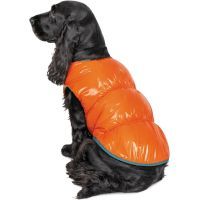Жилет для животных Pet Fashion "SPRING" XS оранжевый (4823082420445)