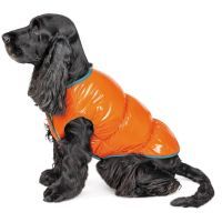 Жилет для животных Pet Fashion "SPRING" XS оранжевый (4823082420445) изображение 2
