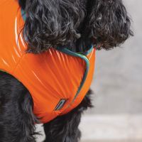 Жилет для животных Pet Fashion "SPRING" XS оранжевый (4823082420445) изображение 3