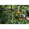 Секатор DeWALT ножиці садові акумуляторні, 18В XR Li-lon 5Ah (DCMPP568P1) зображення 7