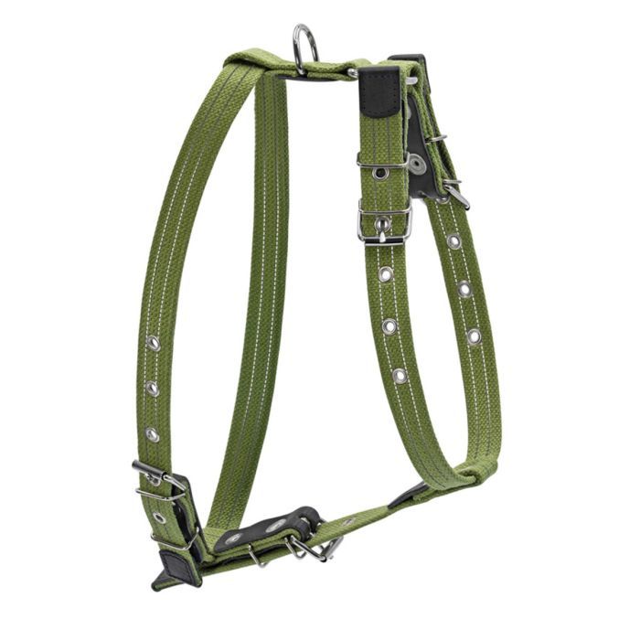 Шлея для собак Collar для середніх собак 47-72 см зелена (0637)