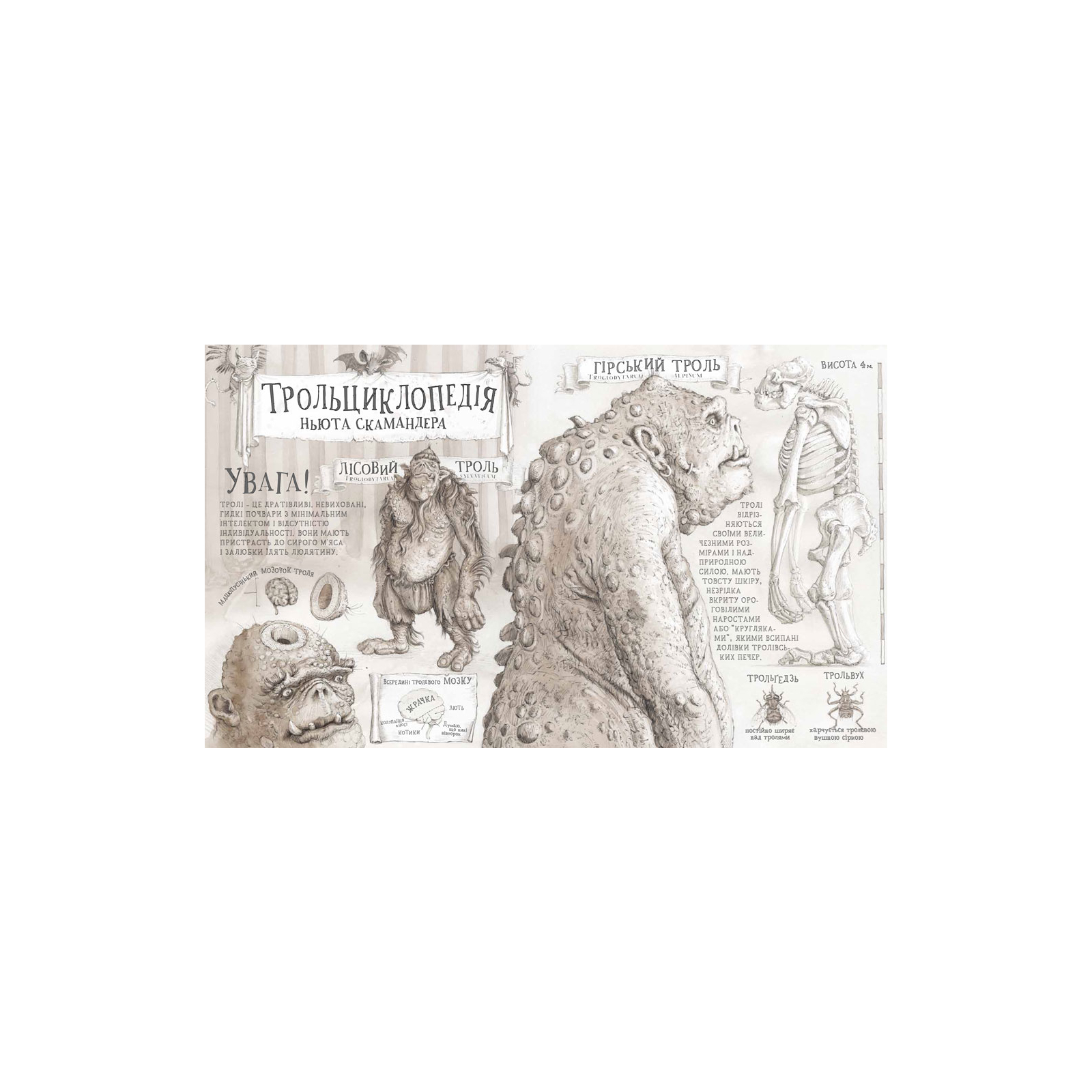Книга Гаррі Поттер і філософський камінь. Велике ілюстроване видання - Джоан Ролінґ А-ба-ба-га-ла-ма-га (9786175851005) зображення 5