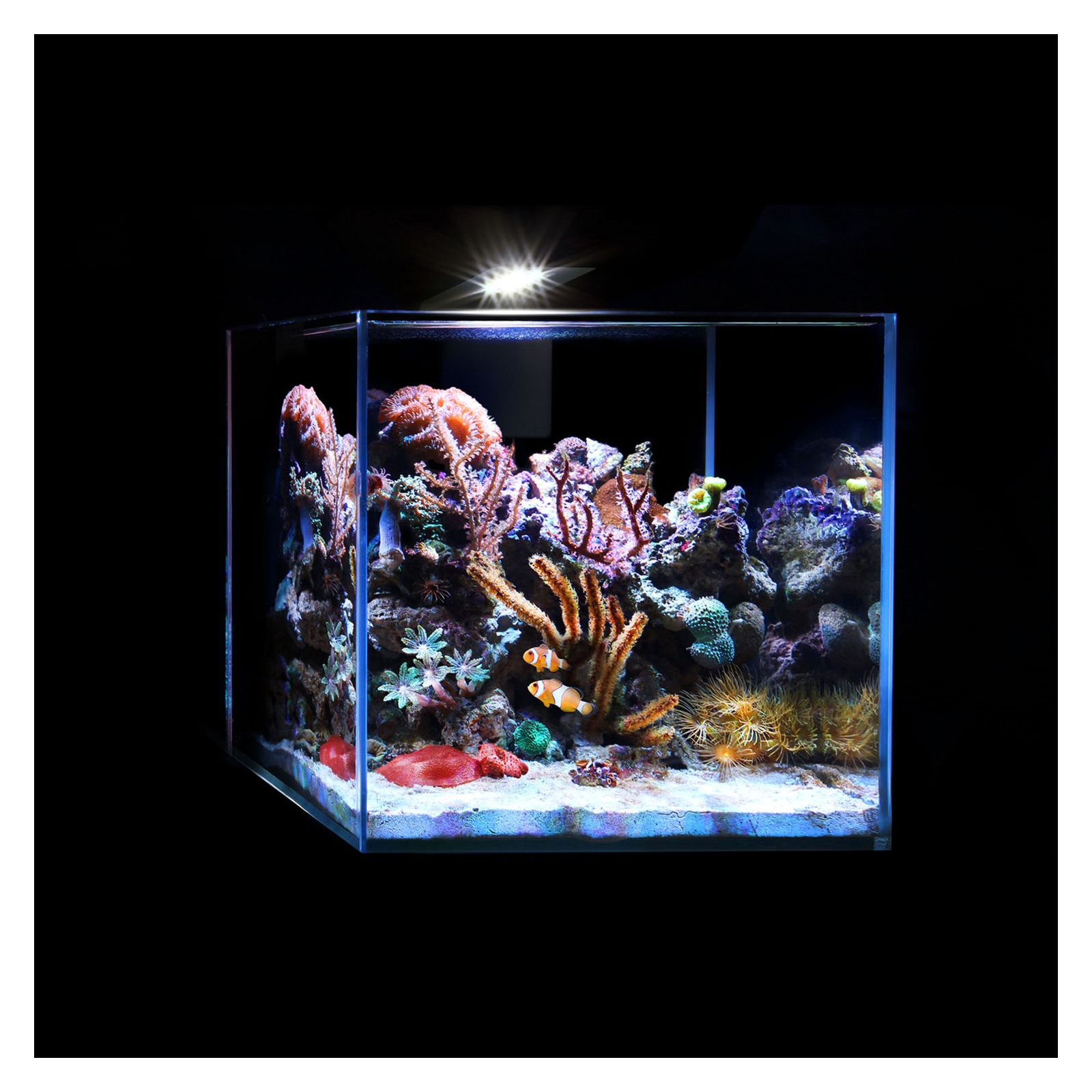 Світильник для акваріума Aqualighter Nano Marine (для морського акваріуму до 20 л) 12000 к 380 люм (8228) зображення 4