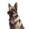 Ошейник для животных WAUDOG Nylon с QR паспортом "Апельсины" пластиковый фастекс XXL (284-4054) изображение 3