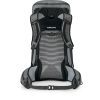Рюкзак туристичний Osprey Talon Pro 30 silver lining O/S (009.3534) зображення 3