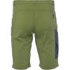 Шорти Turbat Bali Mns calla green - XXL - зелений (012.004.3168) зображення 2
