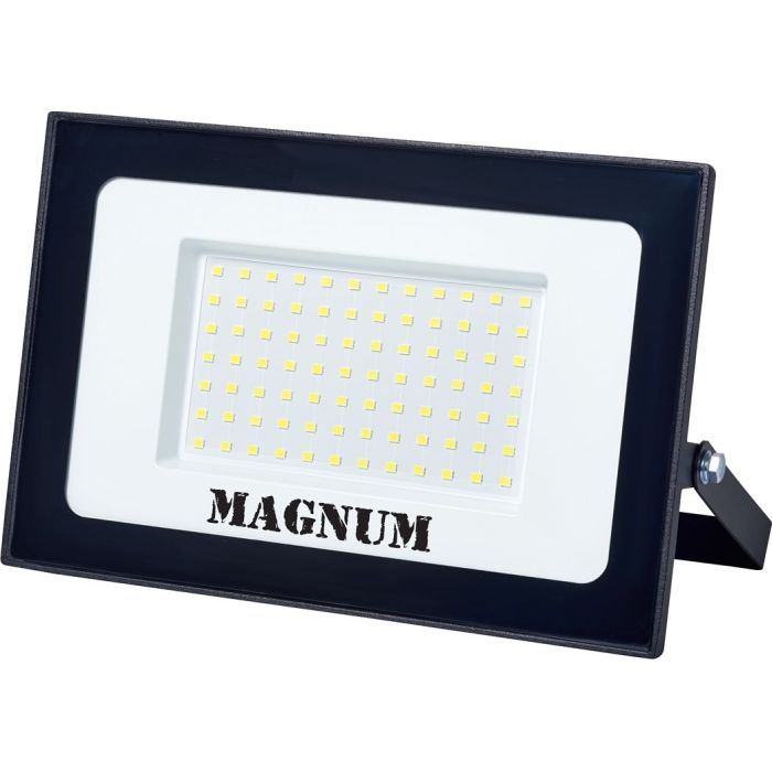 Прожектор MAGNUM FL12 ECO LED 100Вт slim 6500К IP65 (90018087)