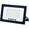 Прожектор MAGNUM FL12 ECO LED 100Вт slim 6500К IP65 (90018087)