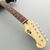 Электрогитара FGN Neo Classic 3-Tone Sunburst (NST100RAL-3TS) изображение 5