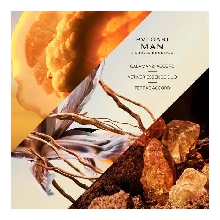 Парфумована вода Bvlgari Man Terrae Essence 100 мл (783320416101) зображення 3