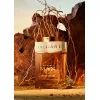 Парфумована вода Bvlgari Man Terrae Essence 60 мл (783320416118) зображення 4