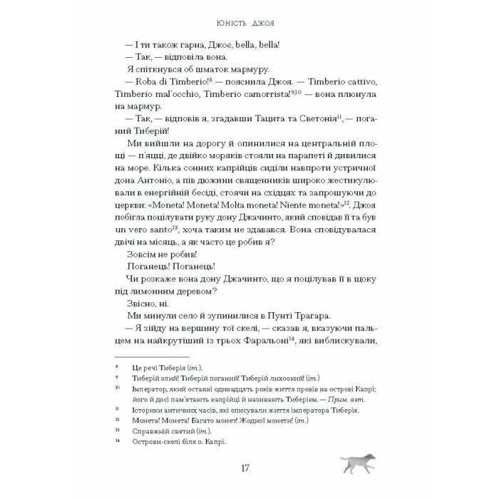 Книга Історія про Сан Мікеле - Аксель Мунте Ще одну сторінку (9786175222263) изображение 9