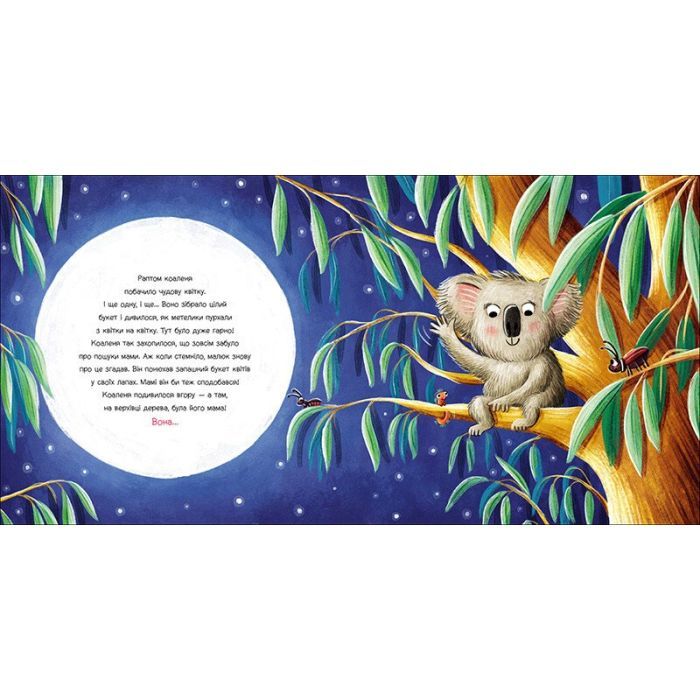 Книга Зникла? Знайшлась! Книга-перевертайка - Нанна Несхьофер Ранок (9786170989895) изображение 5