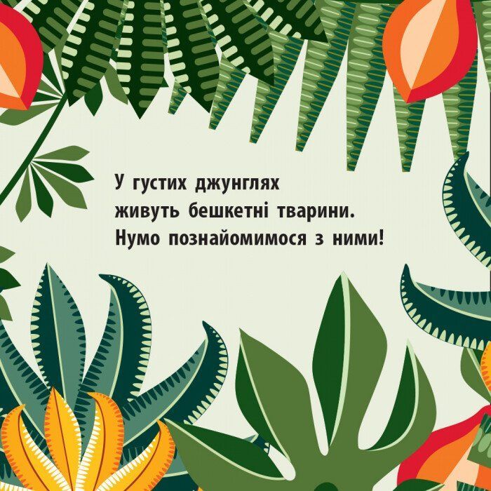 Книга Команда джунглів - Мадлєн Роджерс Ранок (9789667490119) зображення 2