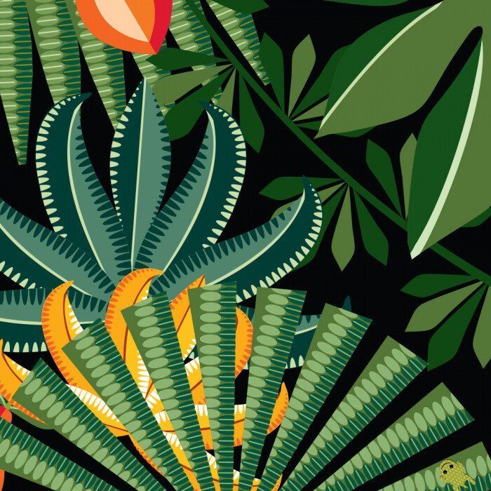 Книга Команда джунглів - Мадлєн Роджерс Ранок (9789667490119) зображення 3