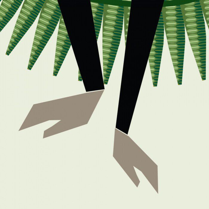 Книга Команда джунглів - Мадлєн Роджерс Ранок (9789667490119) изображение 6