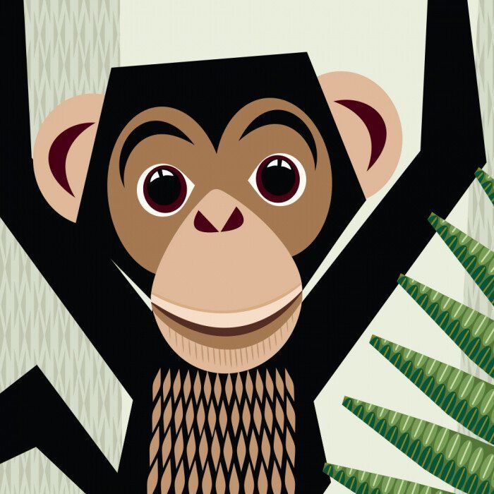 Книга Команда джунглів - Мадлєн Роджерс Ранок (9789667490119) зображення 7