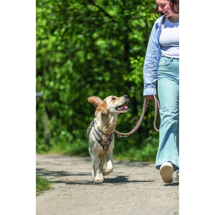 Поводок для собак Trixie Cavo регулируемый L–XL 2 м диаметр 18 мм рыжий-графитовый (4053032677906) изображение 3