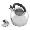 Чайник Hölmer Euphoria 2,5 л (WK-4325-BSSS Euphoria) изображение 4