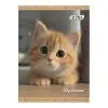 Щоденник шкільний ZiBi CUTE CAT А5, 40аркушів, м'яка обкладинка, скоба (ZB.13125)