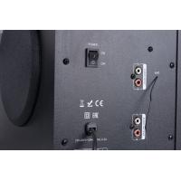 Акустическая система F&D A-555U black изображение 5