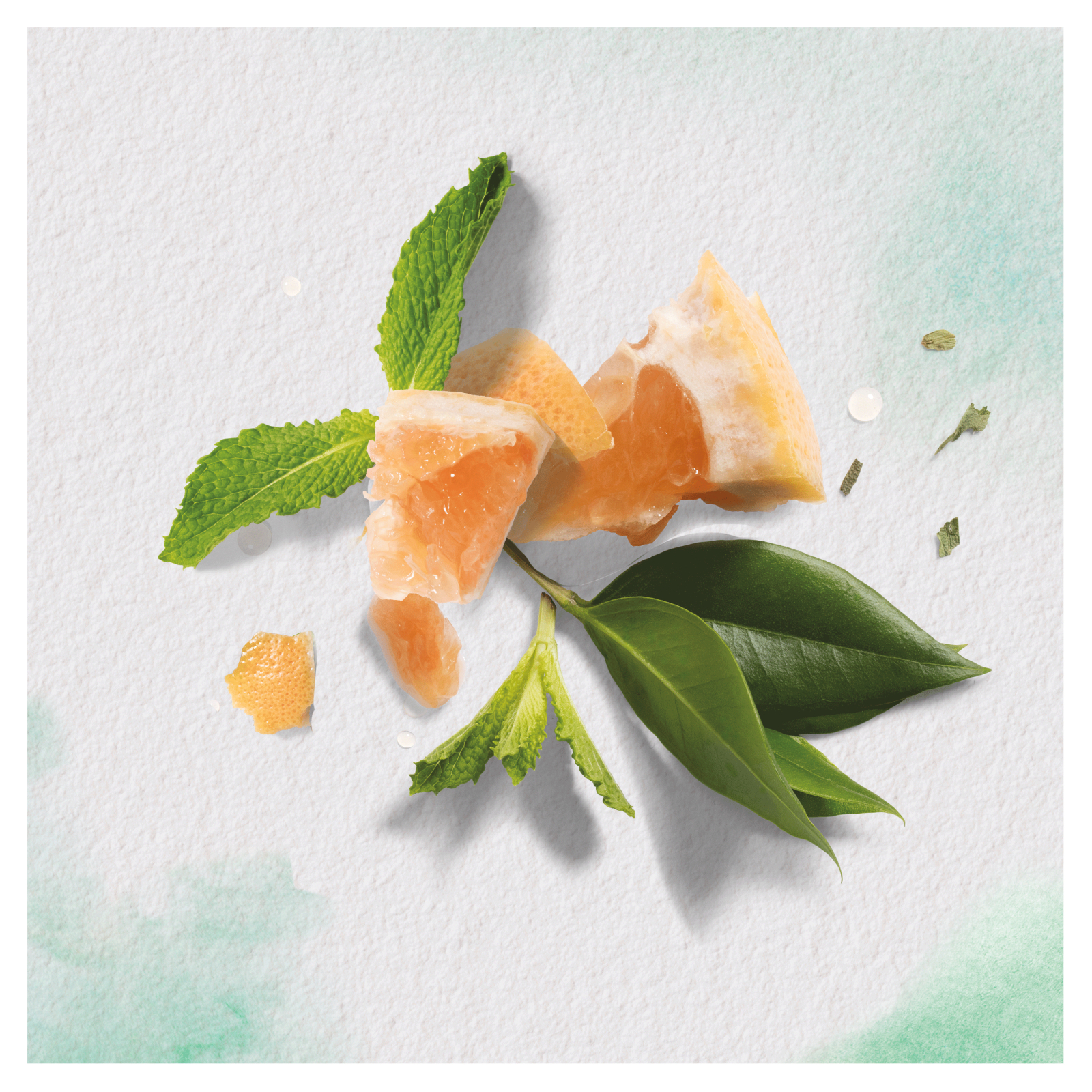 Шампунь Herbal Essences Белый грейпфрут и мята 400 мл (8006540318492) изображение 4