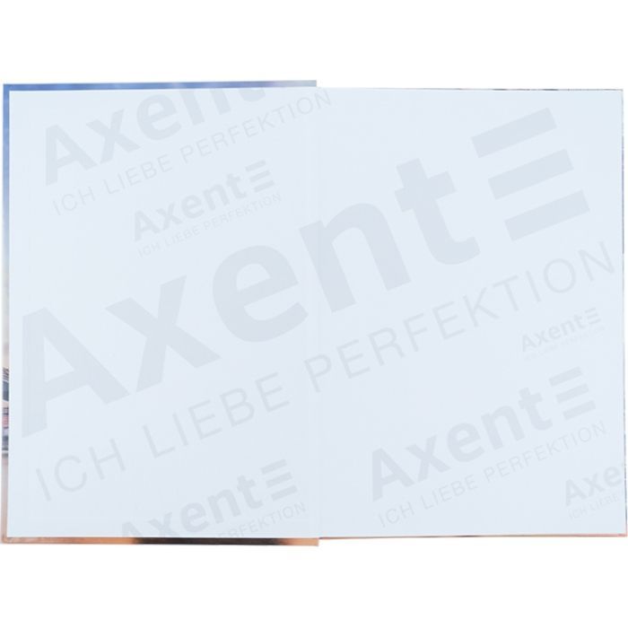 Канцелярська книга Axent Power А4 у твердій обкладинці 96 аркуші клітинка (8422-567-A) зображення 2