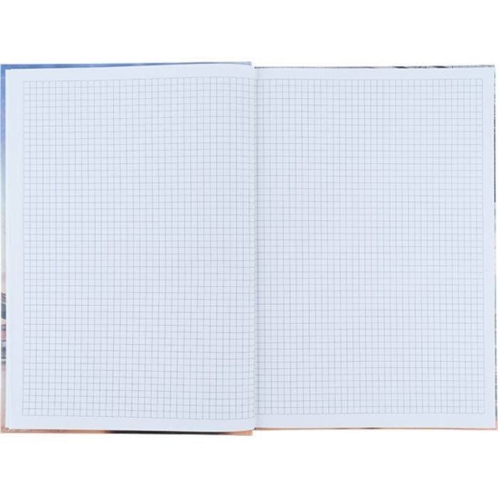 Канцелярська книга Axent Power А4 у твердій обкладинці 96 аркуші клітинка (8422-567-A) зображення 3