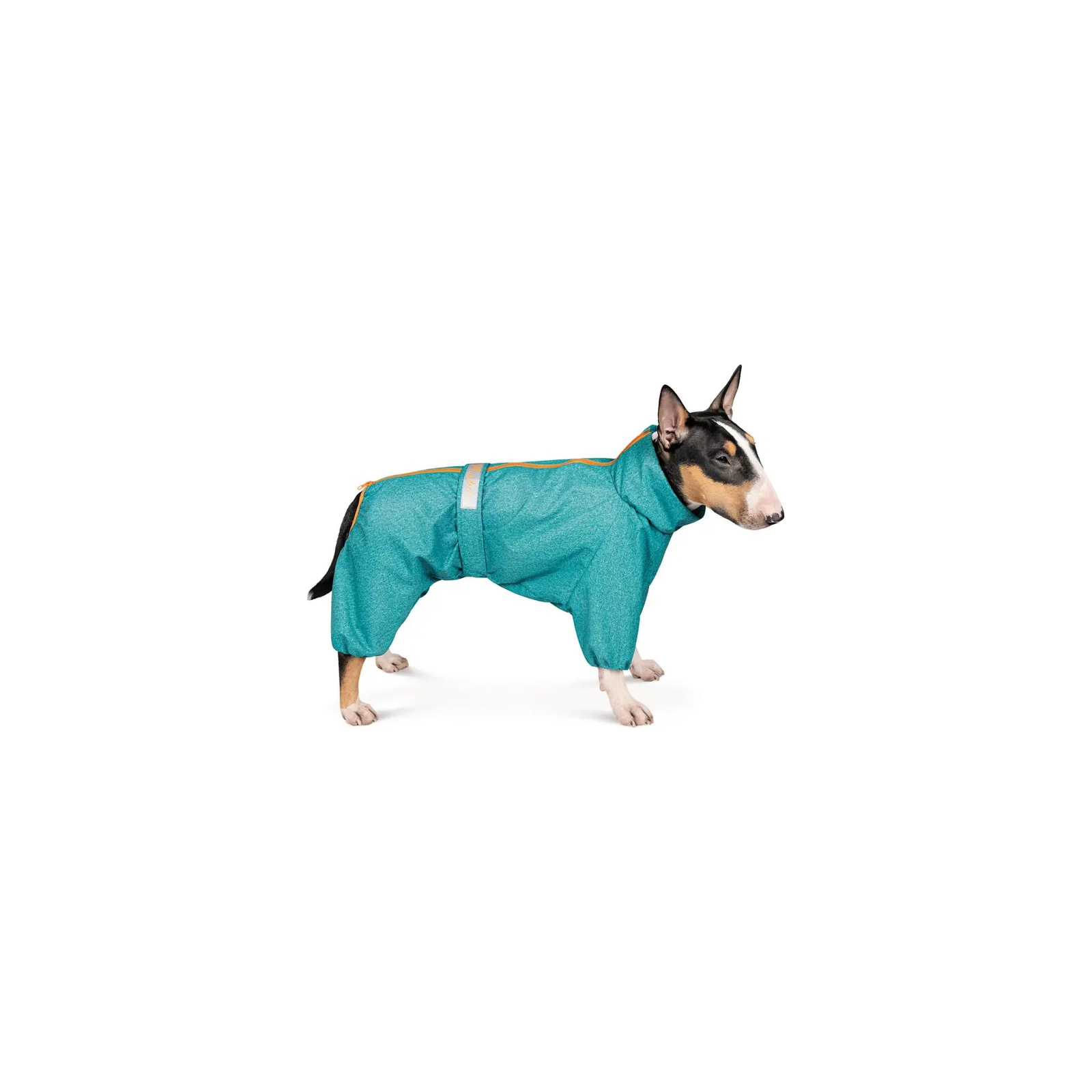 Комбинезон для животных Pet Fashion "RAIN" 4XL (бирюзовый) (4823082425563)