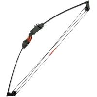 Лук Poe Lang Chameleon Youth Compound 10 LBS Black (CO-017B)