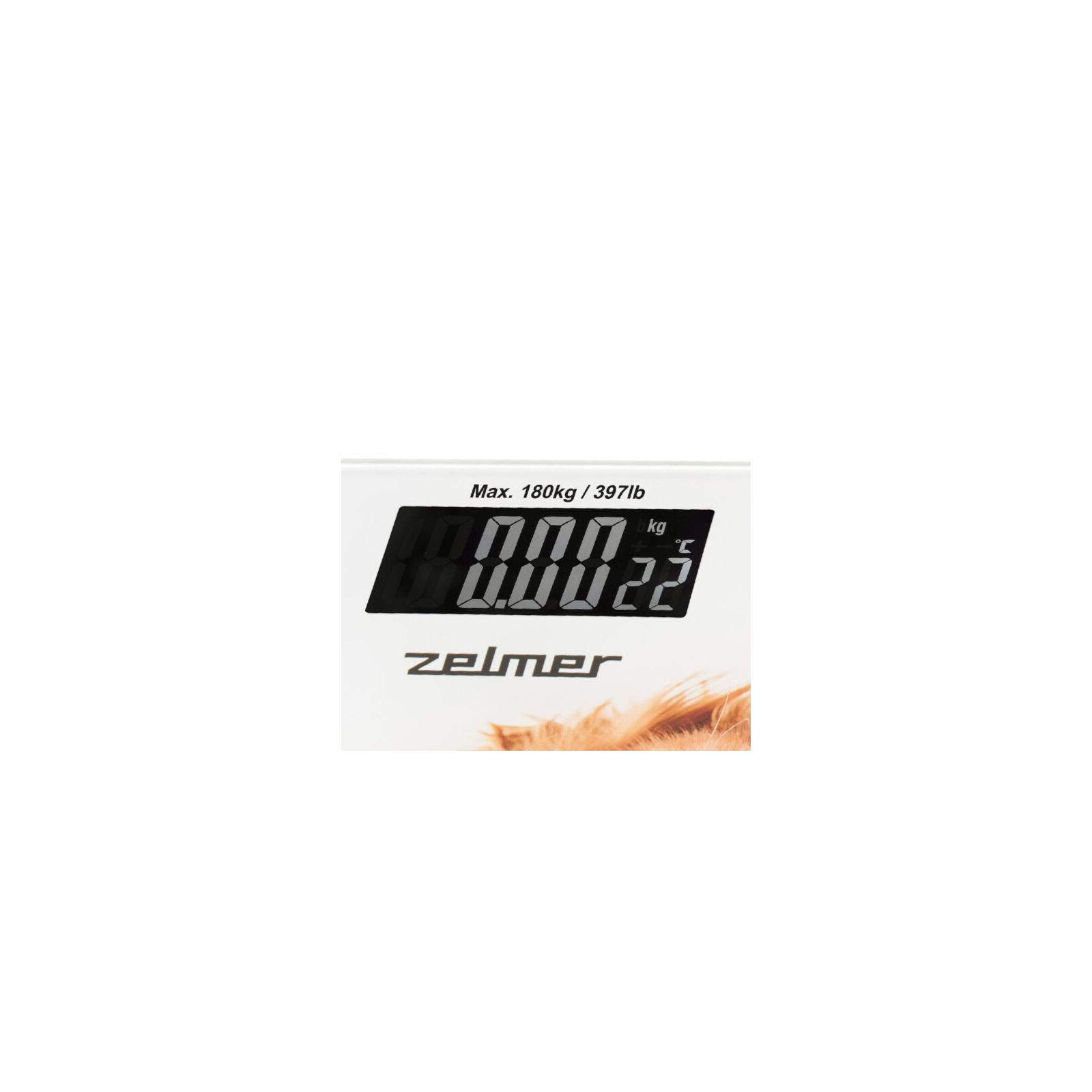 Весы напольные Zelmer ZBS1010 изображение 3