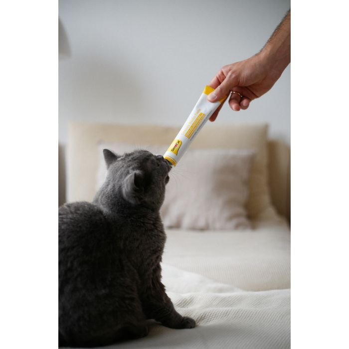 Паста для животных GimCat Cheese Biotin Paste творог с биотином 100 г (4002064401010) изображение 4