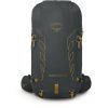 Рюкзак туристичний Osprey Talon Velocity 30 dark charcoal/tumbleweed yellow - S/M - чорний (009.3543) зображення 4