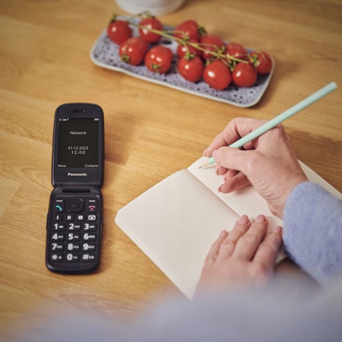 Мобильный телефон Panasonic KX-TU550 Red (KX-TU550EXR) изображение 11