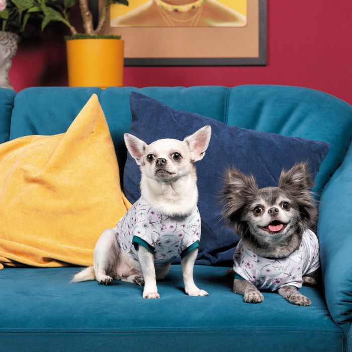 Футболка для тварин Pet Fashion Flora L біла з квітковим принтом (4823082441457) зображення 4