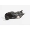 Іграшка для котів Cheerble Wicked Ball M3 (Apricot Beige) (CWQ02A) зображення 7