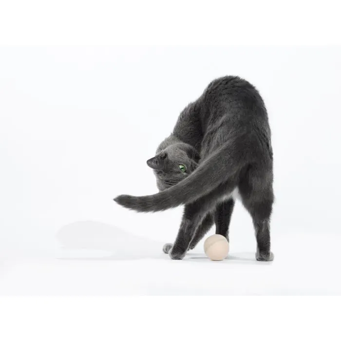 Іграшка для котів Cheerble Wicked Ball M3 (Apricot Beige) (CWQ02A) зображення 9