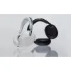 Навушники Sony 1000X THE COLLEXION Platinum Silver (WH1000XXW.E) зображення 12