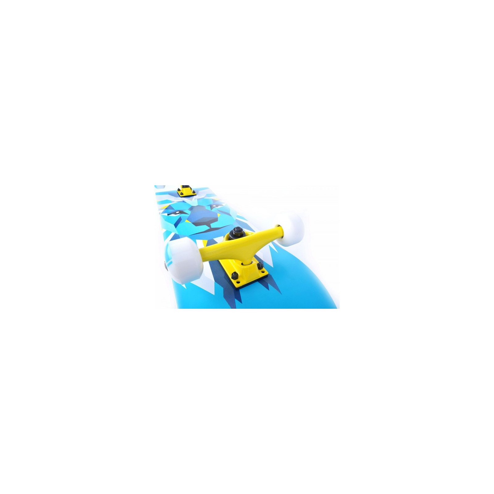 Скейтборд Tempish Lion/Blue (106000043/Blue) изображение 4