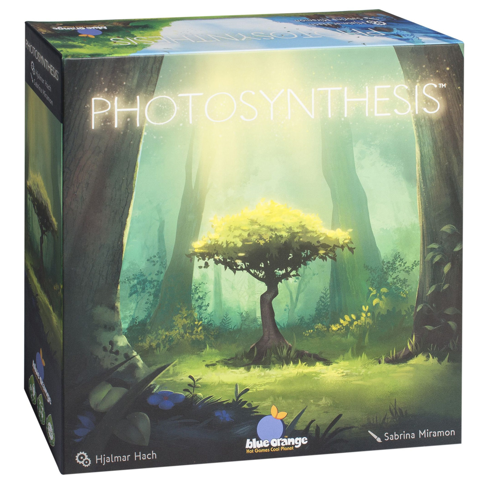 Настольная игра Стиль жизни Фотосинтез (904765)