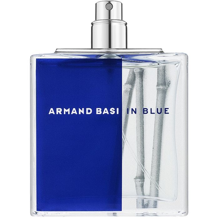 Туалетная вода Armand Basi in Blue 100 мл (8427395950208)