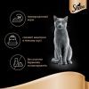 Влажный корм для кошек Sheba cig POU с домашней птицей в соусе 85 г (4770608257293) изображение 6