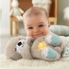 Інтерактивна іграшка Fisher-Price Казкові сни видренятка (FXC66) зображення 4