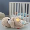 Інтерактивна іграшка Fisher-Price Казкові сни видренятка (FXC66) зображення 5