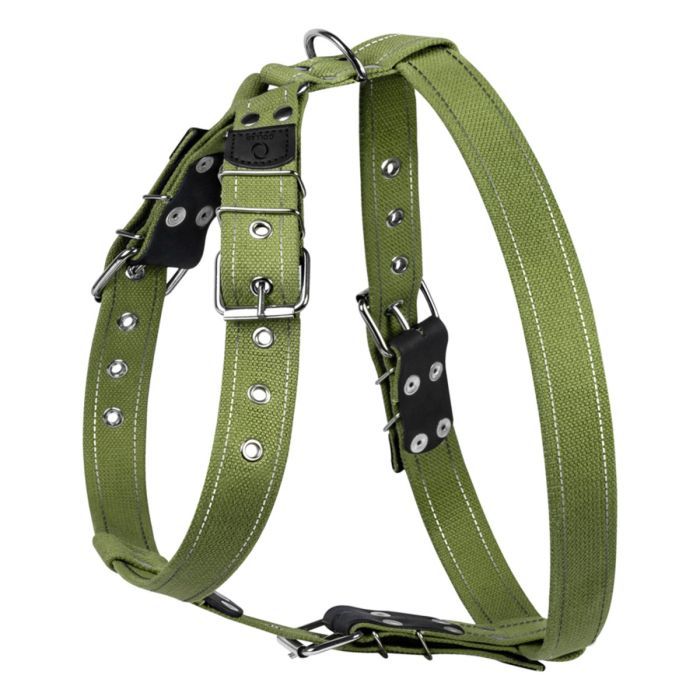 Шлея для собак Collar для великих собак N2 68-91 см зелена (0646)