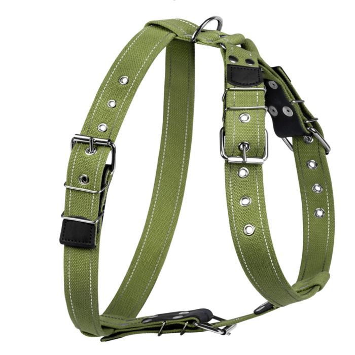 Шлея для собак Collar для великих собак N2 68-91 см зелена (0646) зображення 2