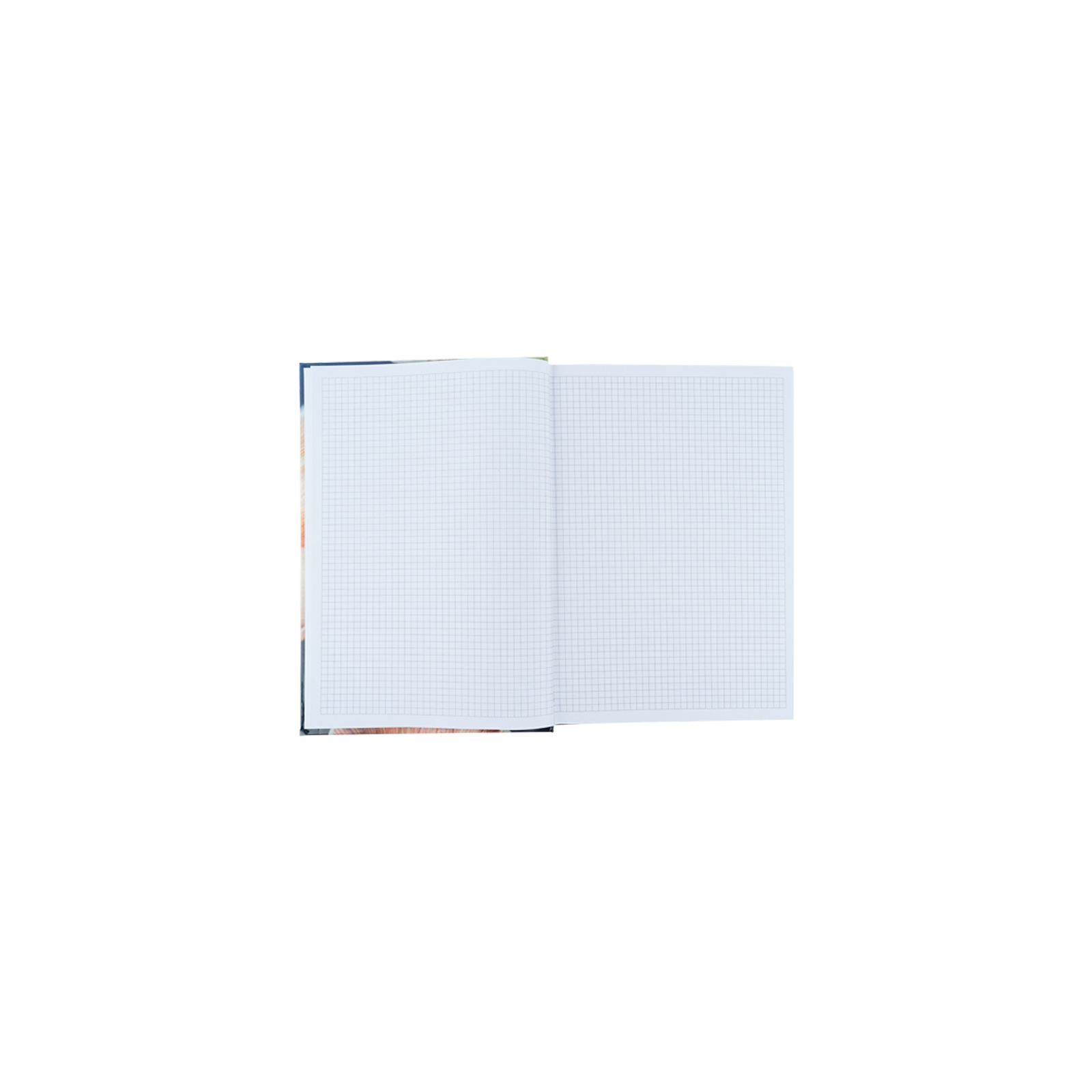 Книга записная Axent Flora А4 в твердом переплете 192 листа клетка, оранжевая (8423-28-A) изображение 3